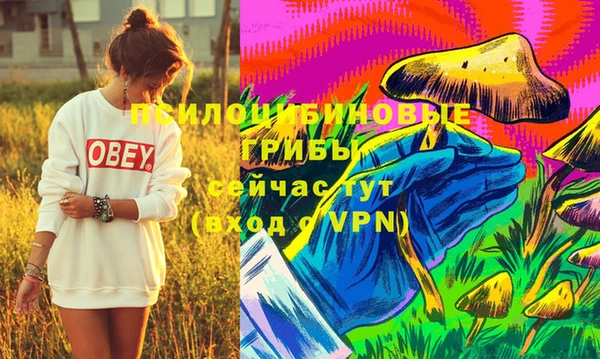 прущая мука Кулебаки