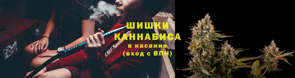 мяу мяу мука Кукмор