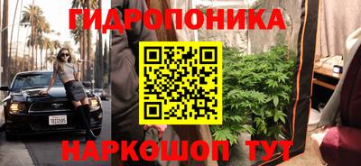 соль ск Аргун