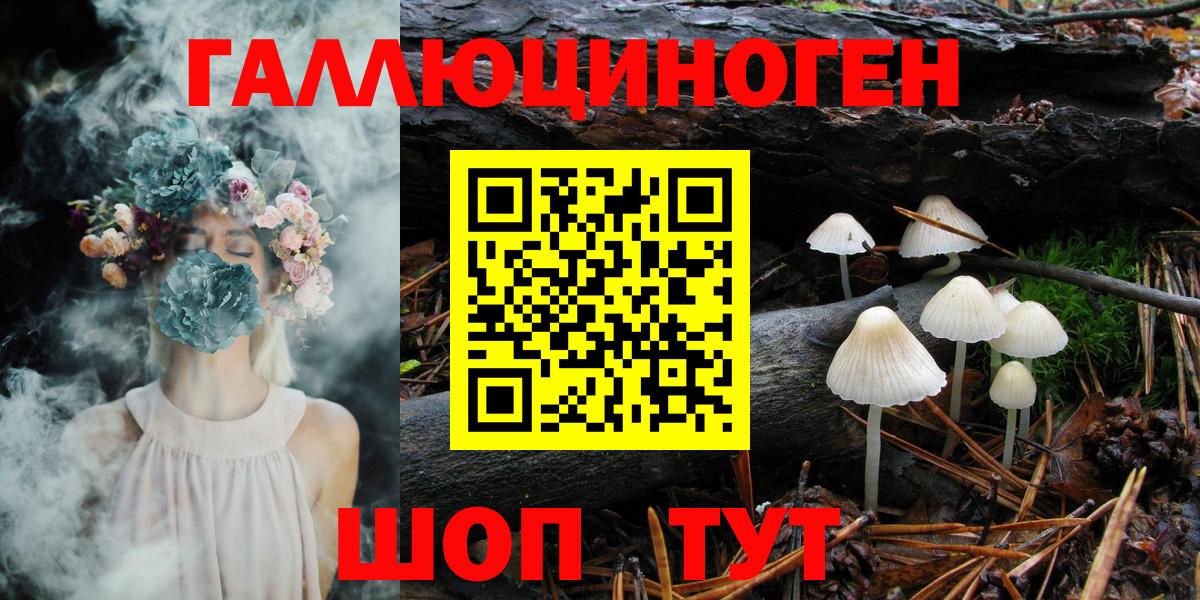Псилоцибиновые грибы GOLDEN TEACHER Балахна